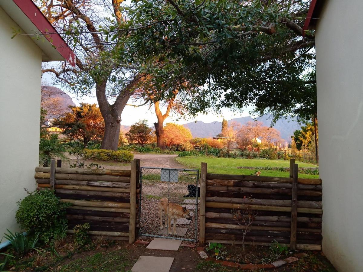 Olive And Vine Farm Cottage 弗朗斯胡克 外观 照片