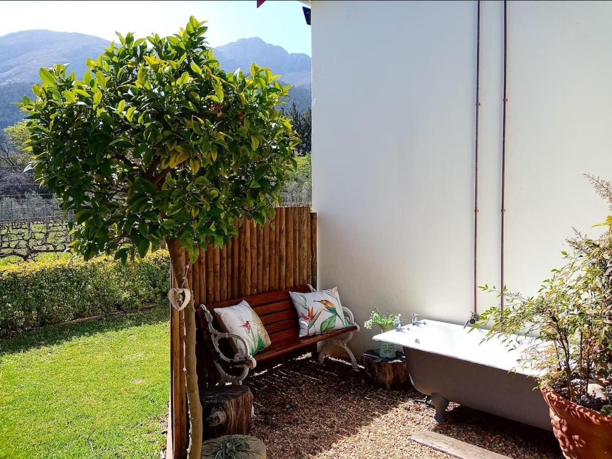 Olive And Vine Farm Cottage 弗朗斯胡克 客房 照片